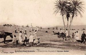 Djenan Eddar 02